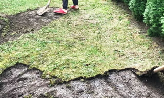 Снятие дерна старого газона в Благовещенске – от 522 руб. | 2Землекопа-Бгв